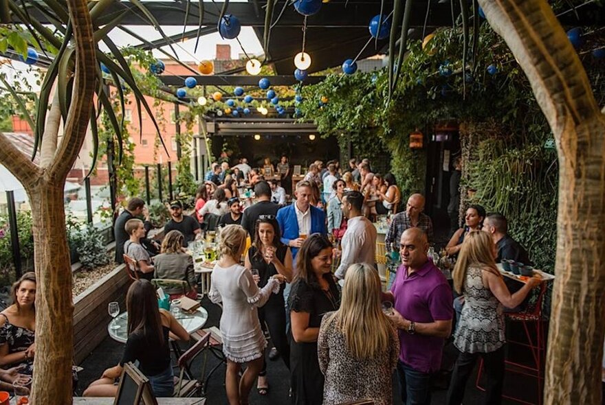 People socialising and drinking at Loop Roof outdoor bar, under a canopy of trees and greenery.