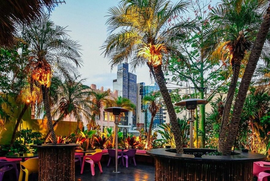 Palm trees lit up on a rooftop bar at twilight.