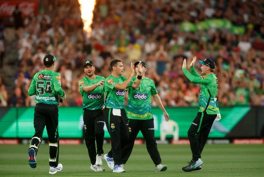 Five members of the BBL Melbourne Stars team on the field high-fiving and celebrating, with the crowd in the background.