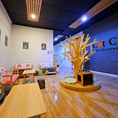 Cat Cafe Melbourne 