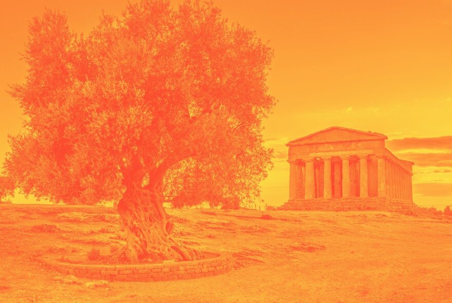 A orange-washed image of an ancient Greek monument and an ancient olive tree. 