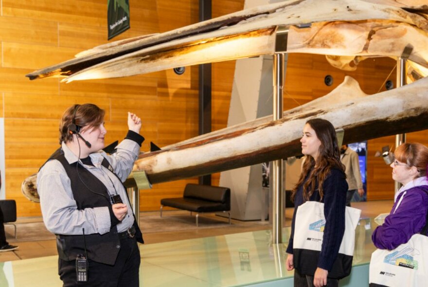 Tour participants listening to a museum guide as she points to and talks about the large whale skeleton on display at the Melbourne Museum.