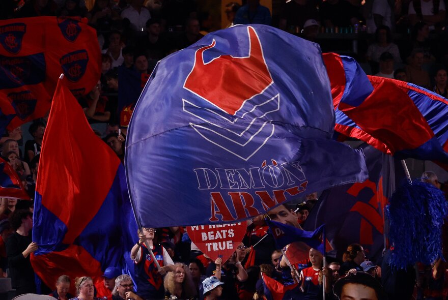 AFL football fans with large flags in the stands.