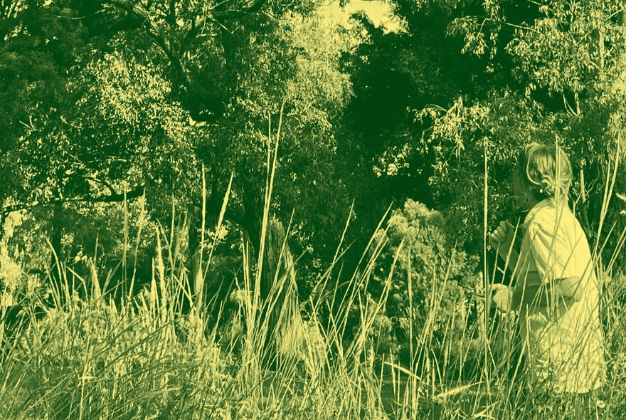 Green-tinted image of a person walking through tall grasses under trees.