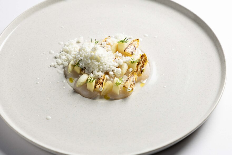 A large white plate with a small circle of food in the middle, a white pearl-like garnish on top. 