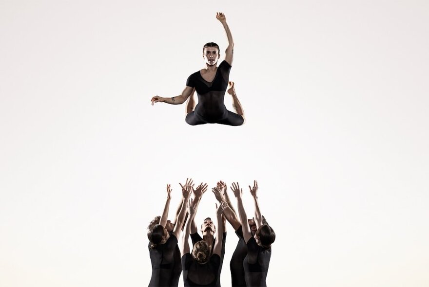 A solitary performer hovering in mid air above a group of circus performers below, the group's arms stretched high into the air as if to catch the descending performer.