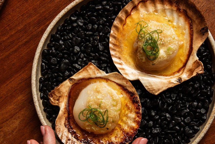 Looking down on a black plate with two scallops cooked in their shells with spring onion garnish. 