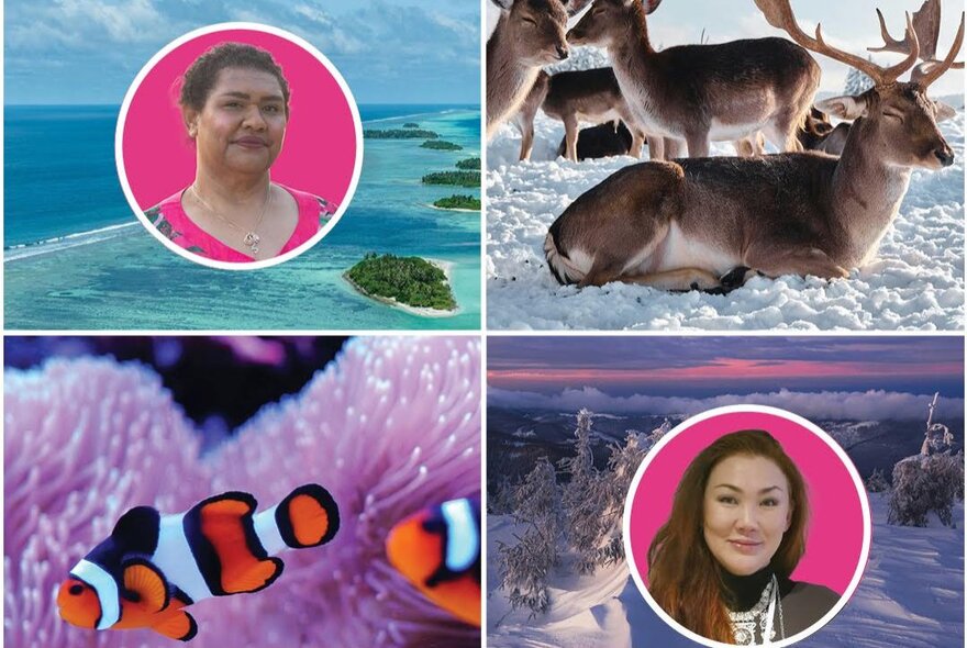 A collage image showing two First Nations women, their homelands and the native fauna found there.