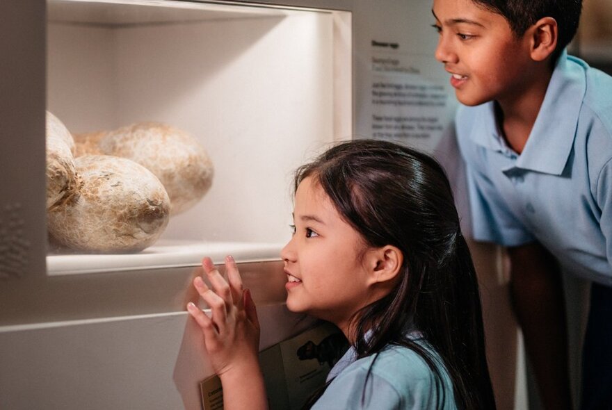 Two children looking eagerly at an exhibit in a museum. 