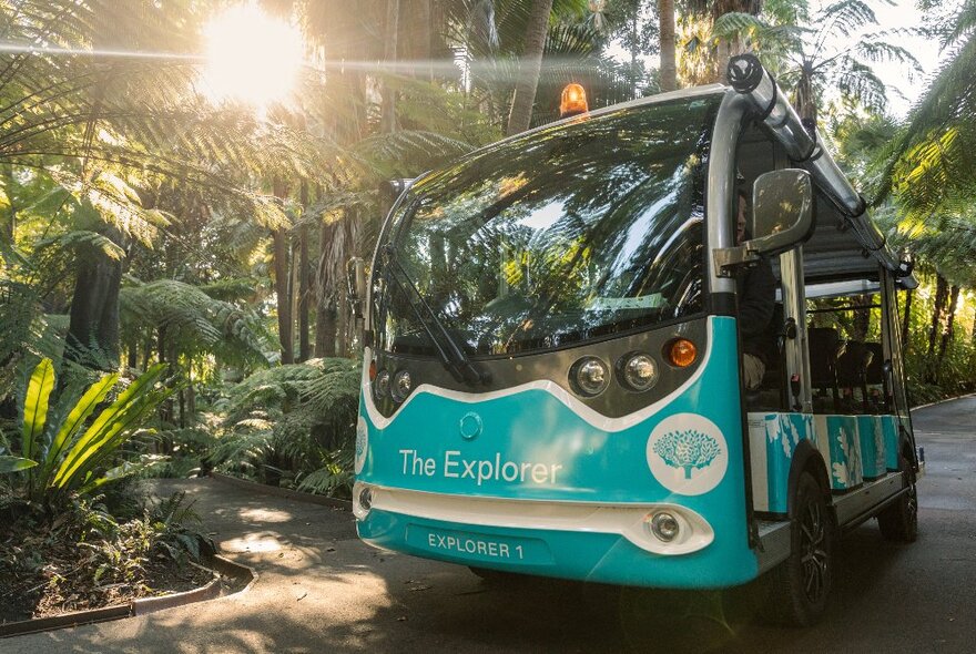 The open-sided Explorer Bus at Royal Botanic Melbourne Gardens on a path with foliage on either side.