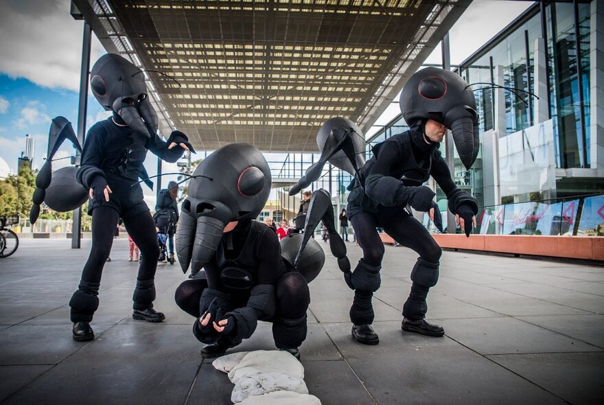 Three performers dressed as life size ants performing in the outdoor plaza space in front of Melbourne Museum.