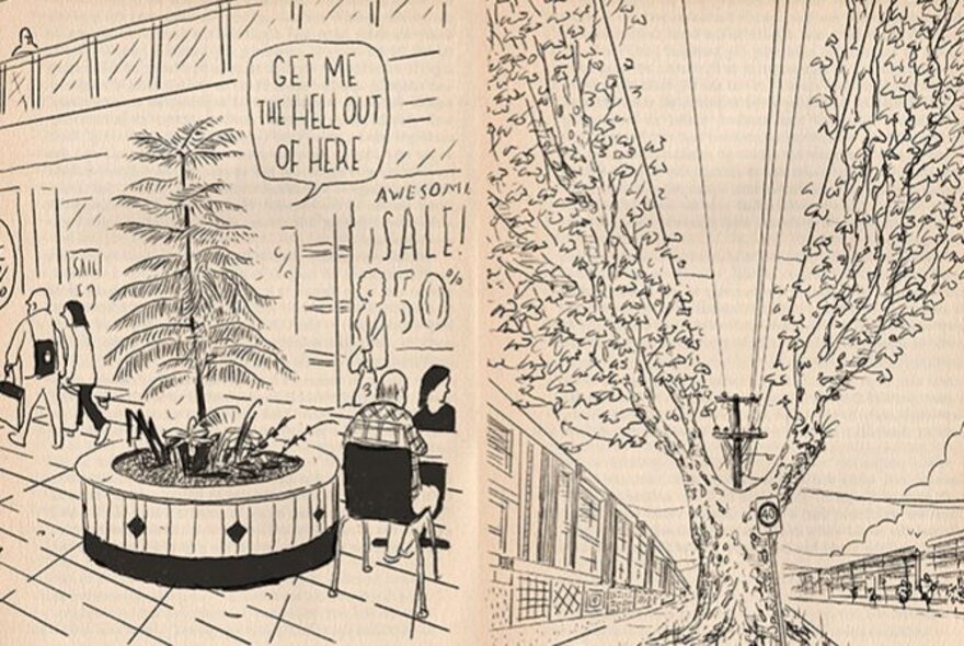 Two pen drawings by illustrator Oslo Davis, one depicting a tree in a suburban shopping mall, the other a plane tree in a street with electrical power lines above it.