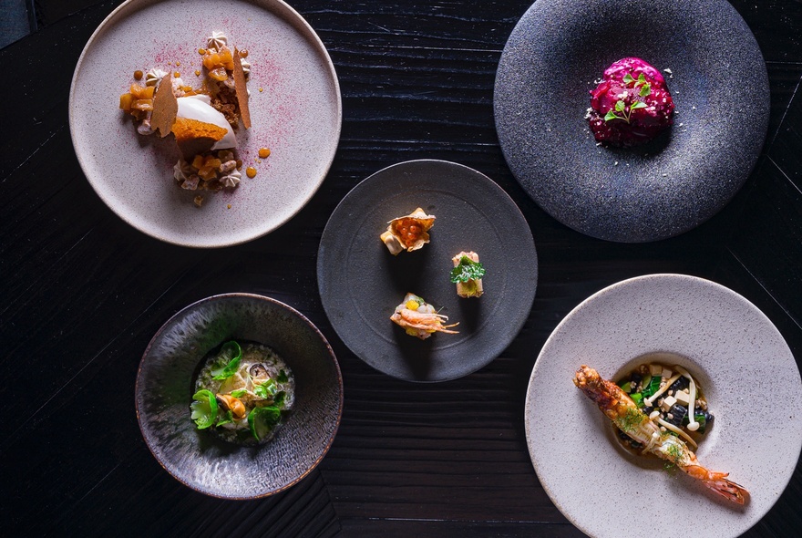 Looking down at a restaurant table with dishes of artfully arranged Japanese food on black and white plates.