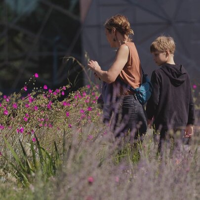 A Butterfly Story: A Garden Activity for Kids