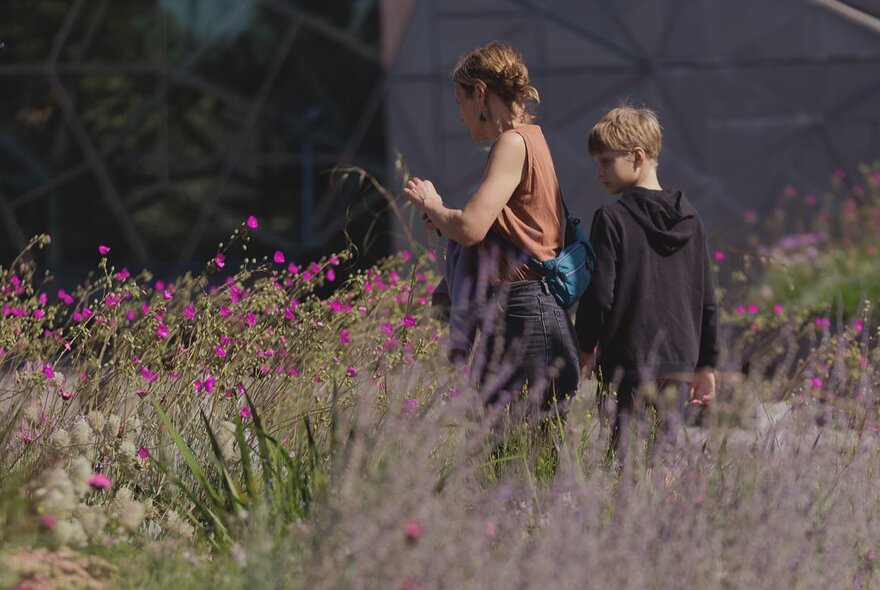 A child and adult wandering through past flowering shrubs and grasses in the rooftop garden on top of Fed Square.
