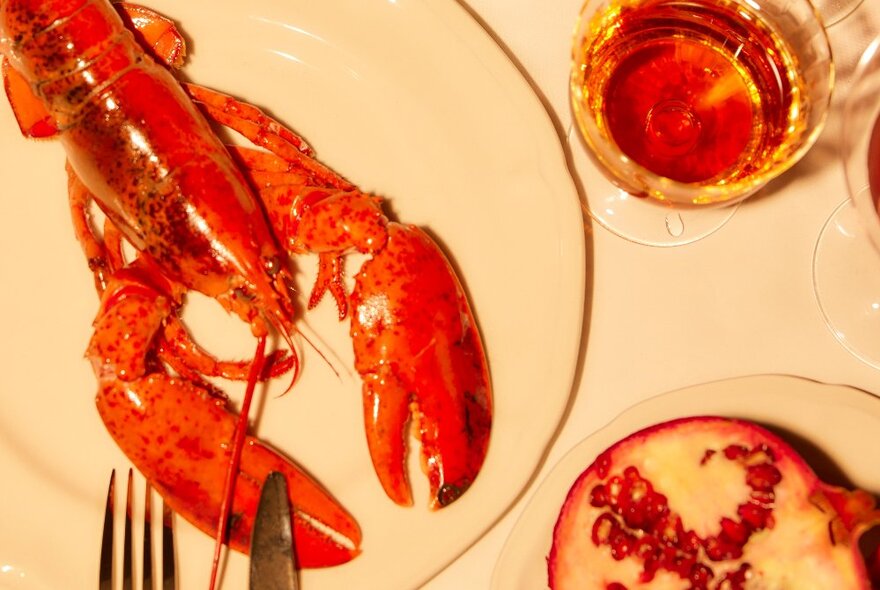 Overhead view of a lobster on a white plate, with a cocktail and half a pomegranate next to it.