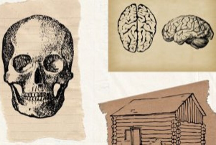 Scraps of paper, one with a skull, brains and shed.