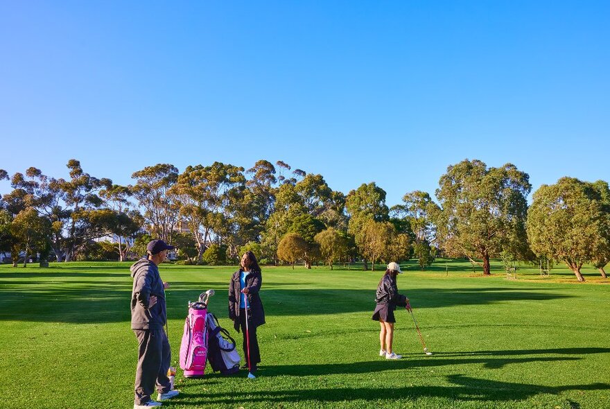 Three friends are playing golf