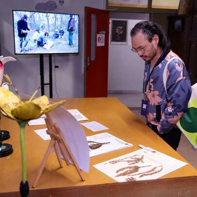 A person looking at botanical illustrations on a desk with a brochure tucked under his arm. 