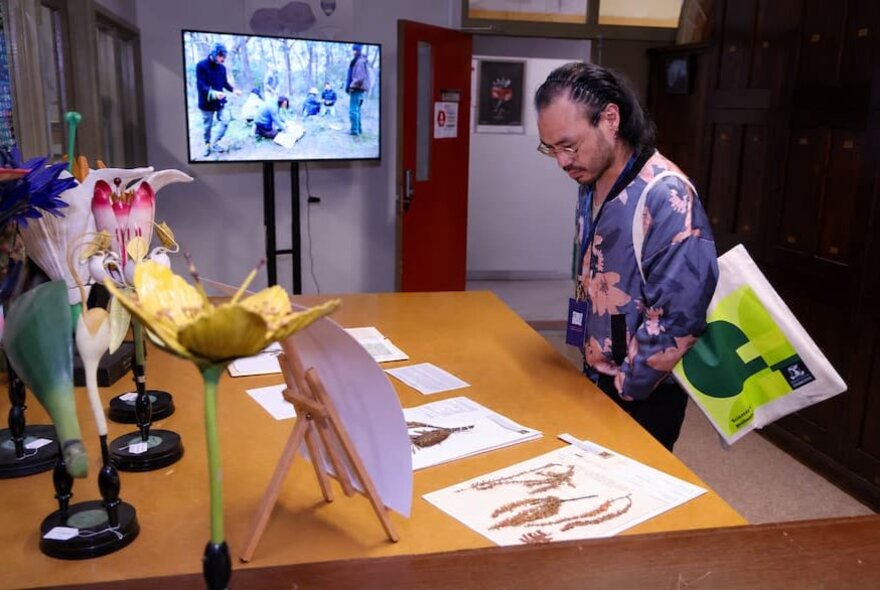 A person looking at botanical illustrations on a desk with a brochure tucked under his arm. 
