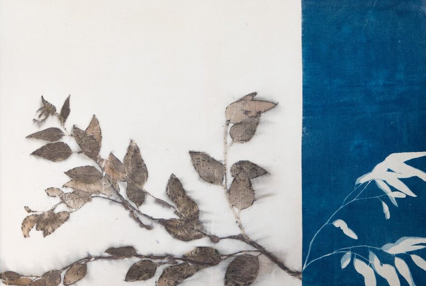 Sun prints of leaves against a white and blue background.