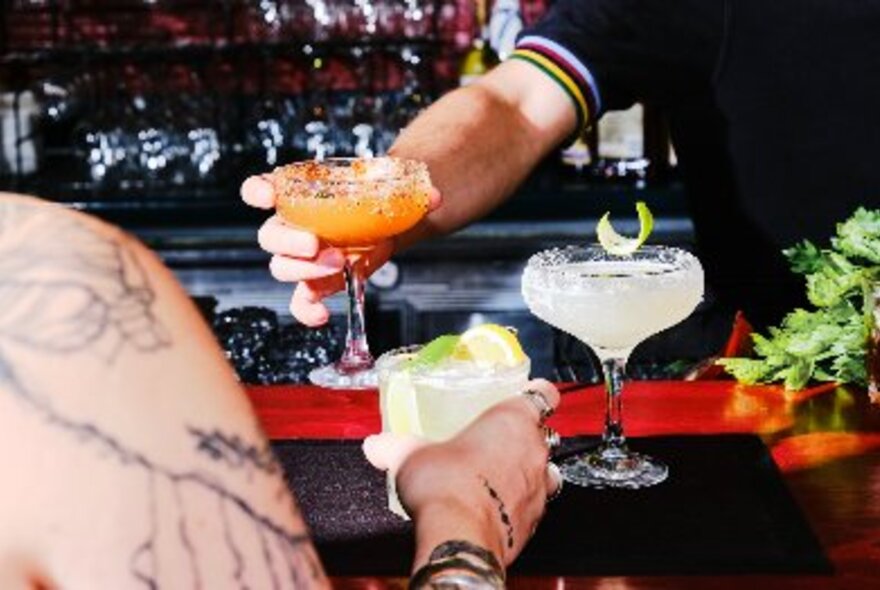 A close up of hands at a bar, the bartender placing a cocktail down next to another while a tattooed customer lifts a cocktail 