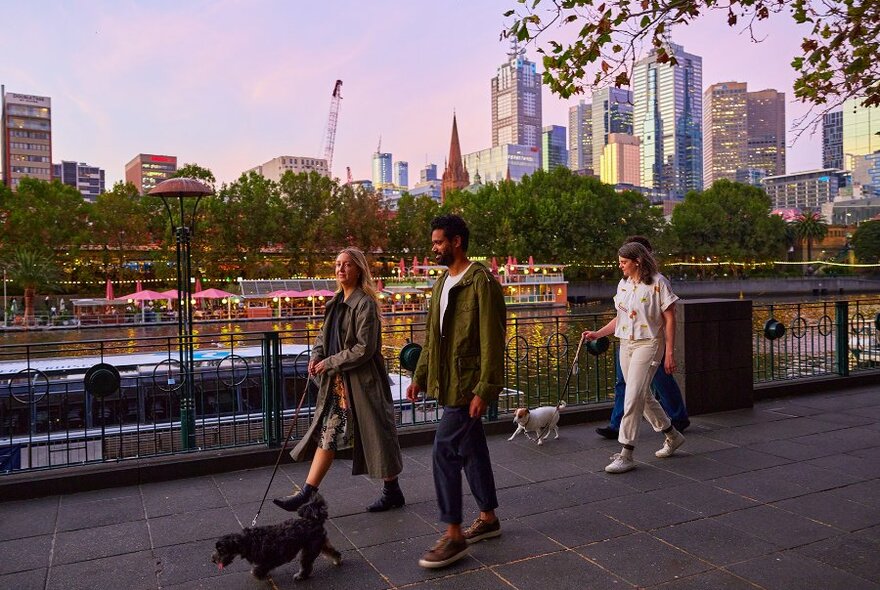 Two couples walking dogs beside the Yarra River at sunset.