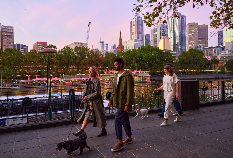 Two couples walking dogs beside the Yarra River at sunset.