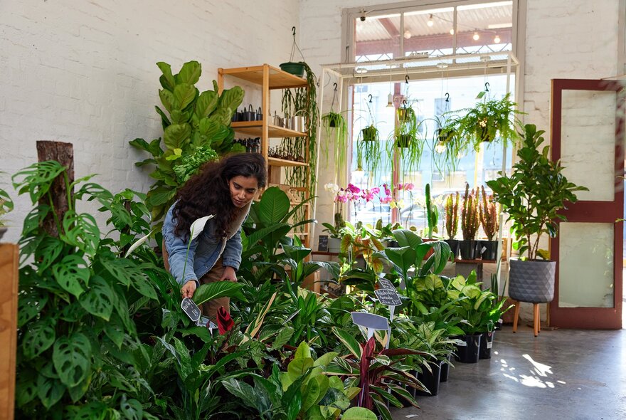 A woman browsing plants in a shop.