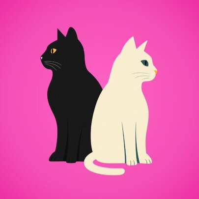 A black cat and white cat, back to back, against a bright pink background. 