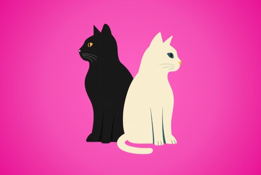 A black cat and white cat, back to back, against a bright pink background. 