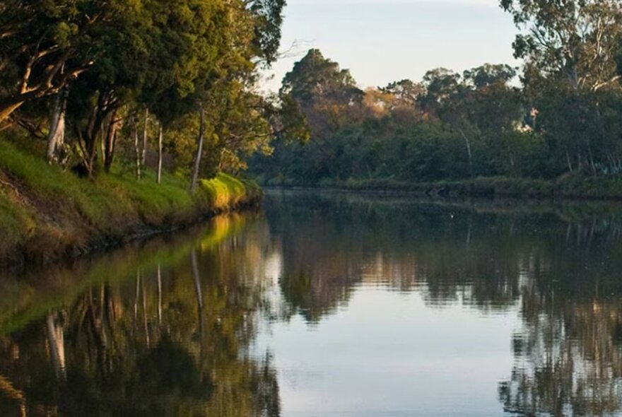 A wide stretch of river with trees on either bank, in late afternoon sun.