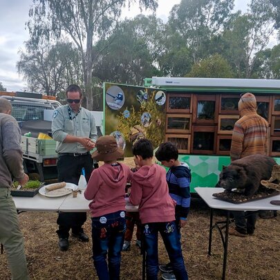 Junior Rangers: Summer Pop-ups