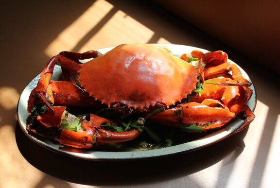 A plate with a large crab dish.