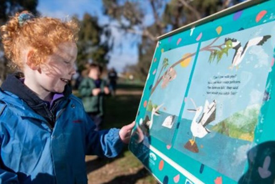 A young girl with curly red hair looking at a storyboard featuring pelicans in an park setting. 
