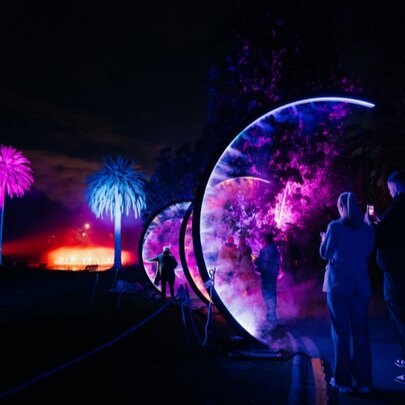 Lightscape installation at night with purple images of trees.