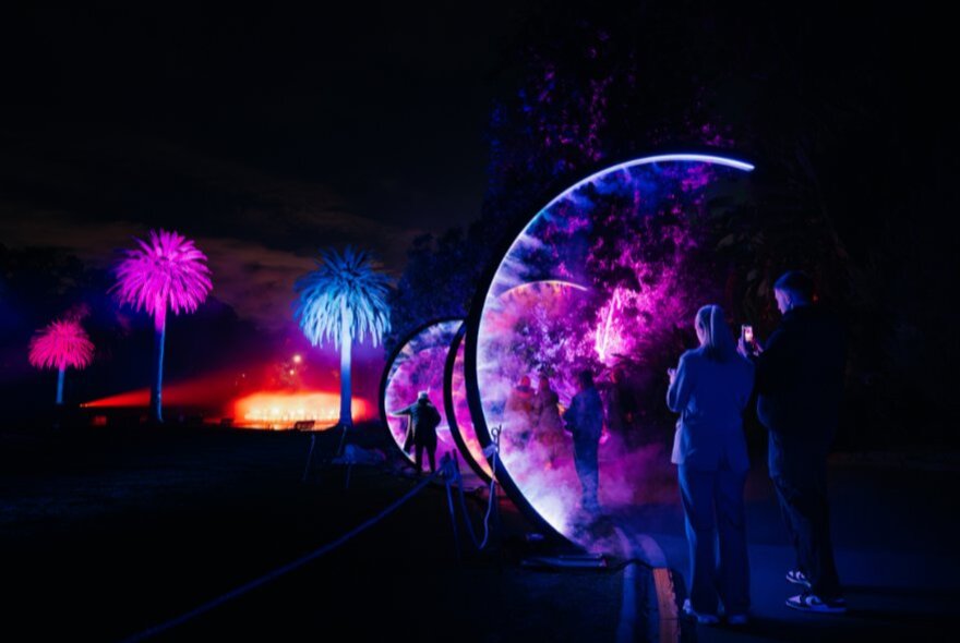 Lightscape installation at night with purple images of trees.