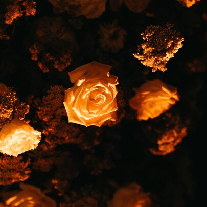 Warmly lit bouquets of hanging flowers, against a dark background. 