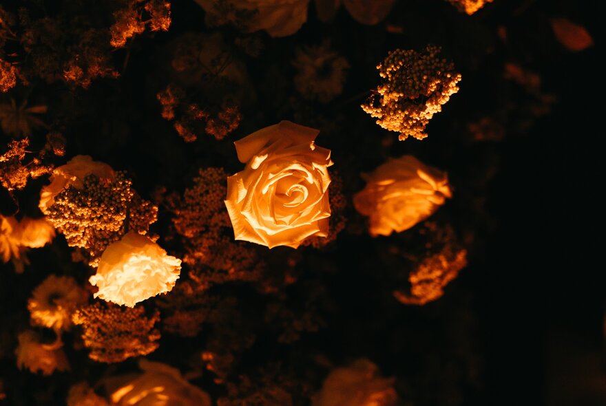 Warmly lit bouquets of hanging flowers, against a dark background. 