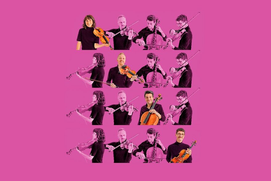 The four musicians of the Australian String Quartet standing in a line and playing their instruments, repeated in different poses across four rows, against a pink background.