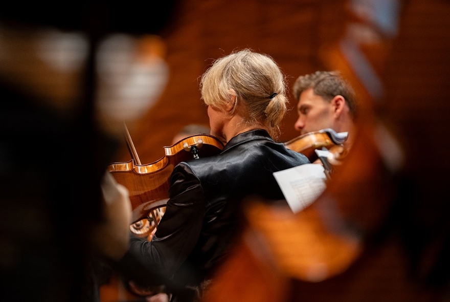 Looking through blurred violas to the back of people playing violas in an orchestra.