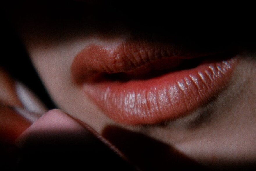 A close up of a pair of red lips, the rest of the face in shadows, in a still from the movie Lost Highway. 