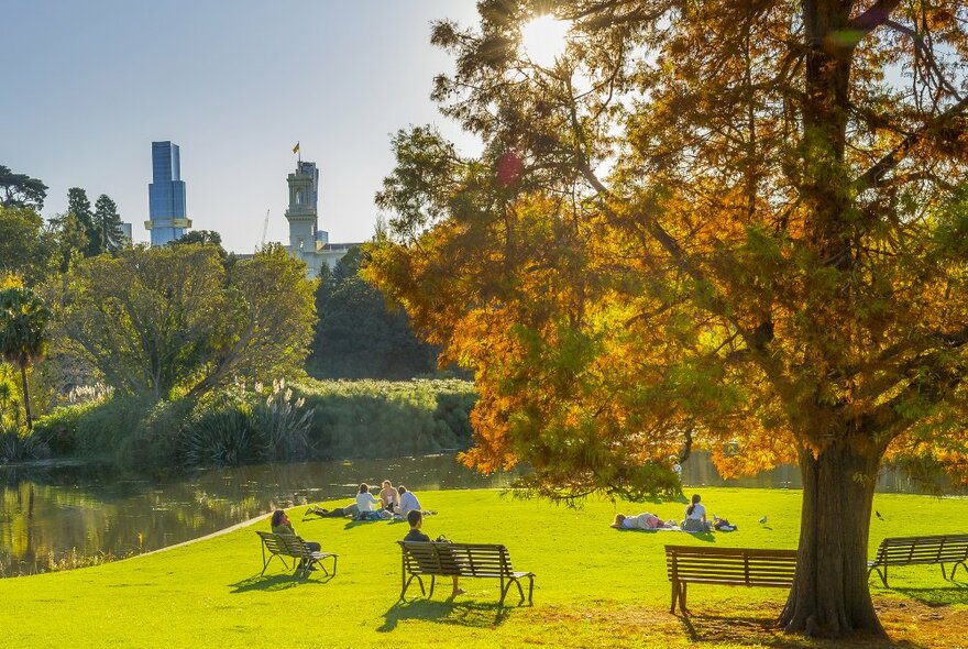 People are picnicking in a park