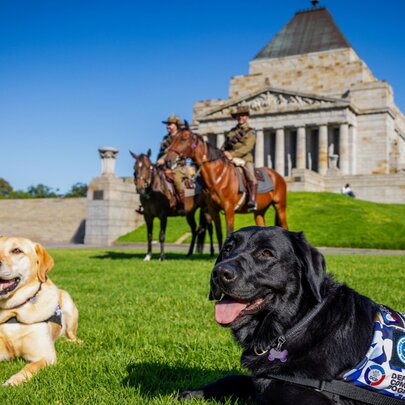 National Day for War Animals Remembrance Service