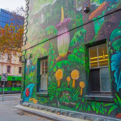 A street art covered wall in a laneway.