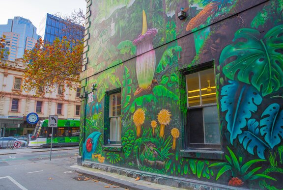 A street art covered wall in a laneway.