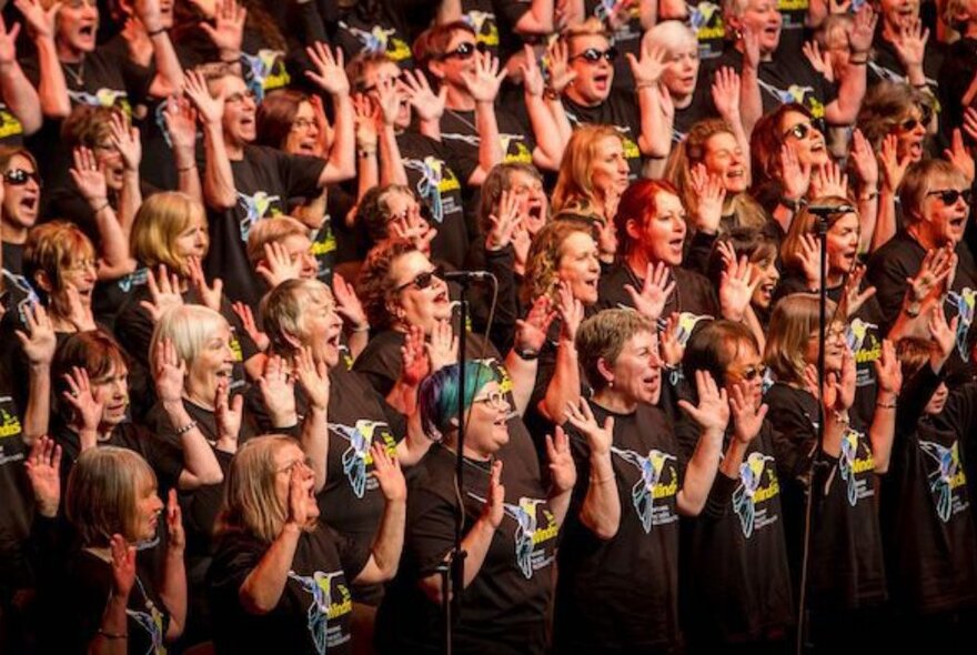 Masssed choir in rows, singing with hands raised, wearing the same brown T-shirt.