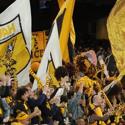 Hawthorn AFL fans with banners in the stands during a match.