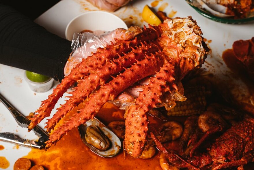 Close-up of a hand holding legs of lobster.