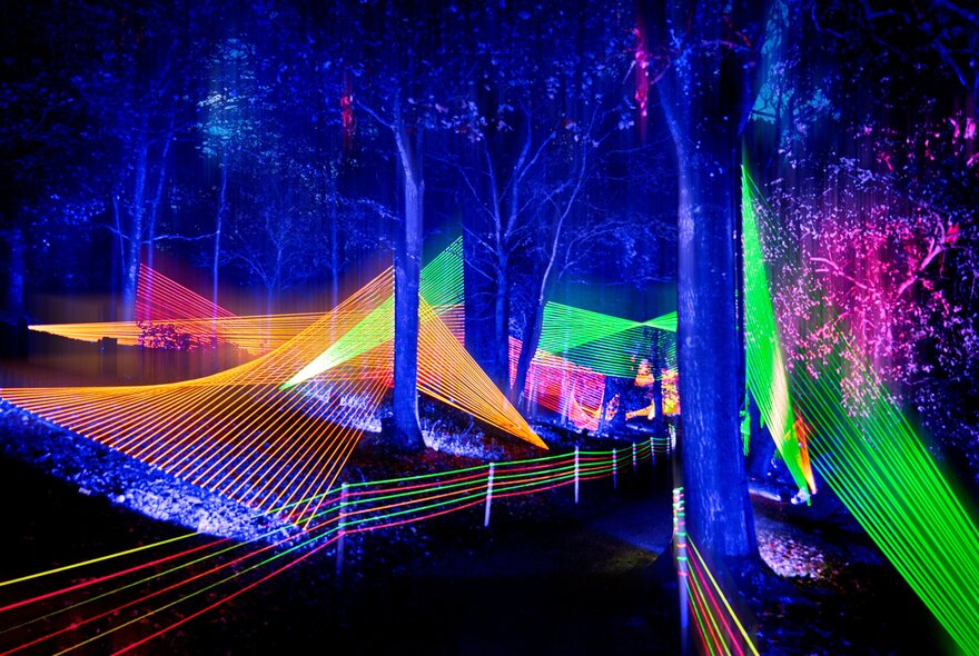 A colourful UV light display in the Royal Botanic Gardens at night.